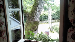 Blick auf den Garten