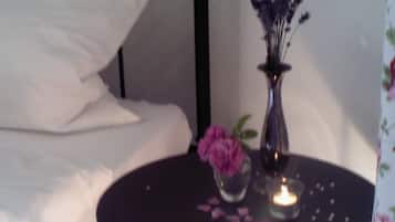 Individually decorated, individually furnished, iron/ironing board