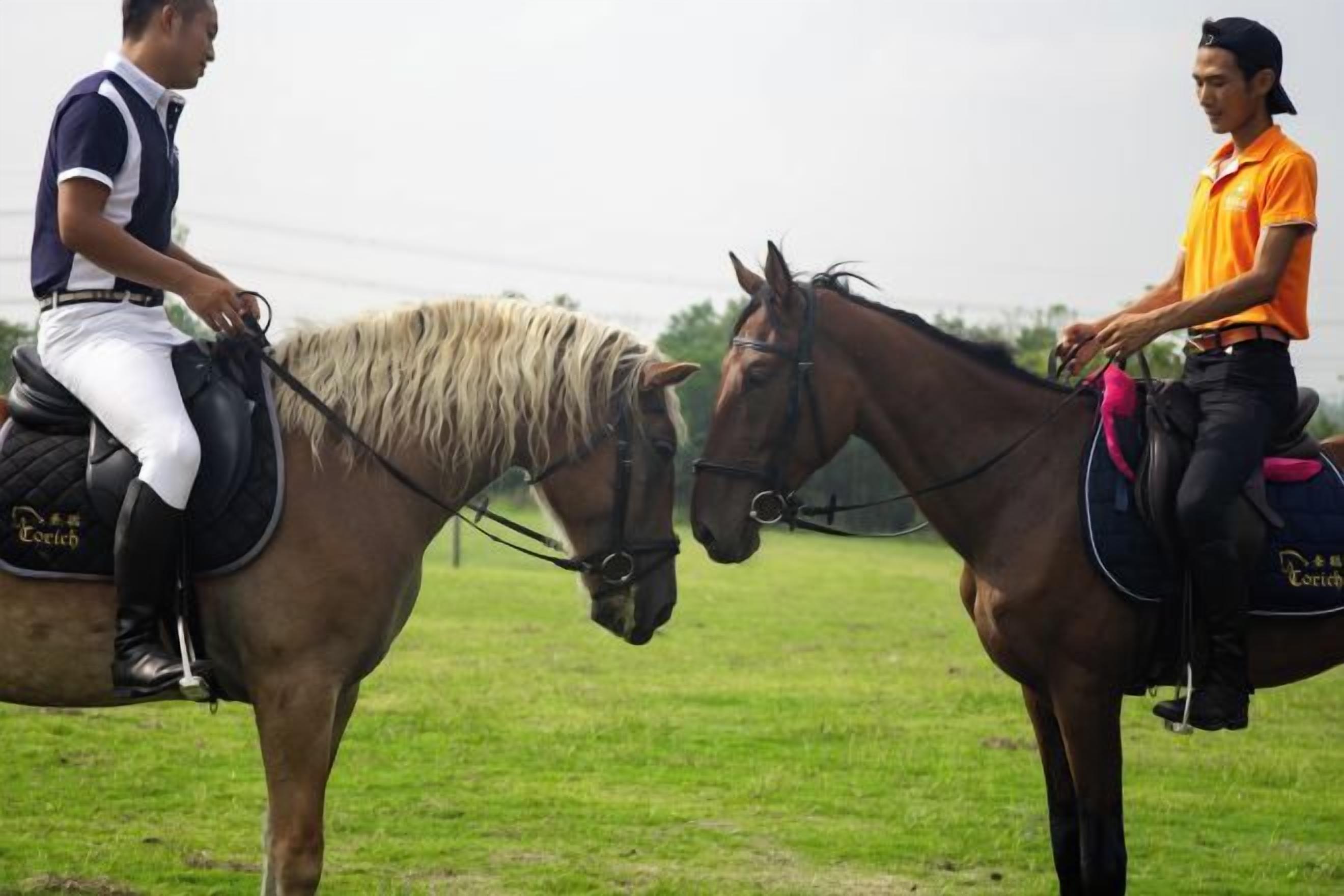 Dos personas montando a caballo en un entorno al aire libre.