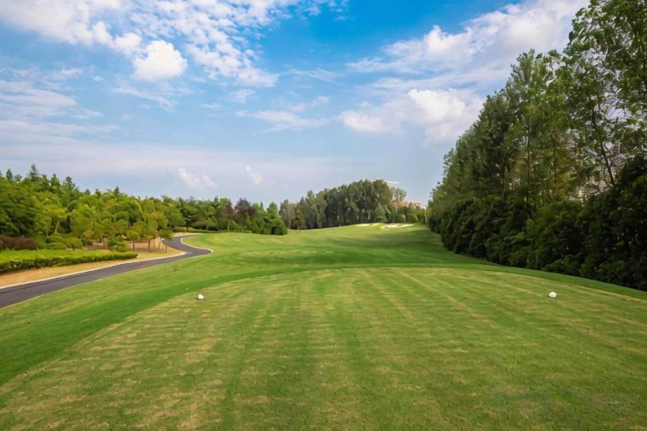 Un campo de golf con un fairway bien cuidado, un putting green y una zona boscosa.
