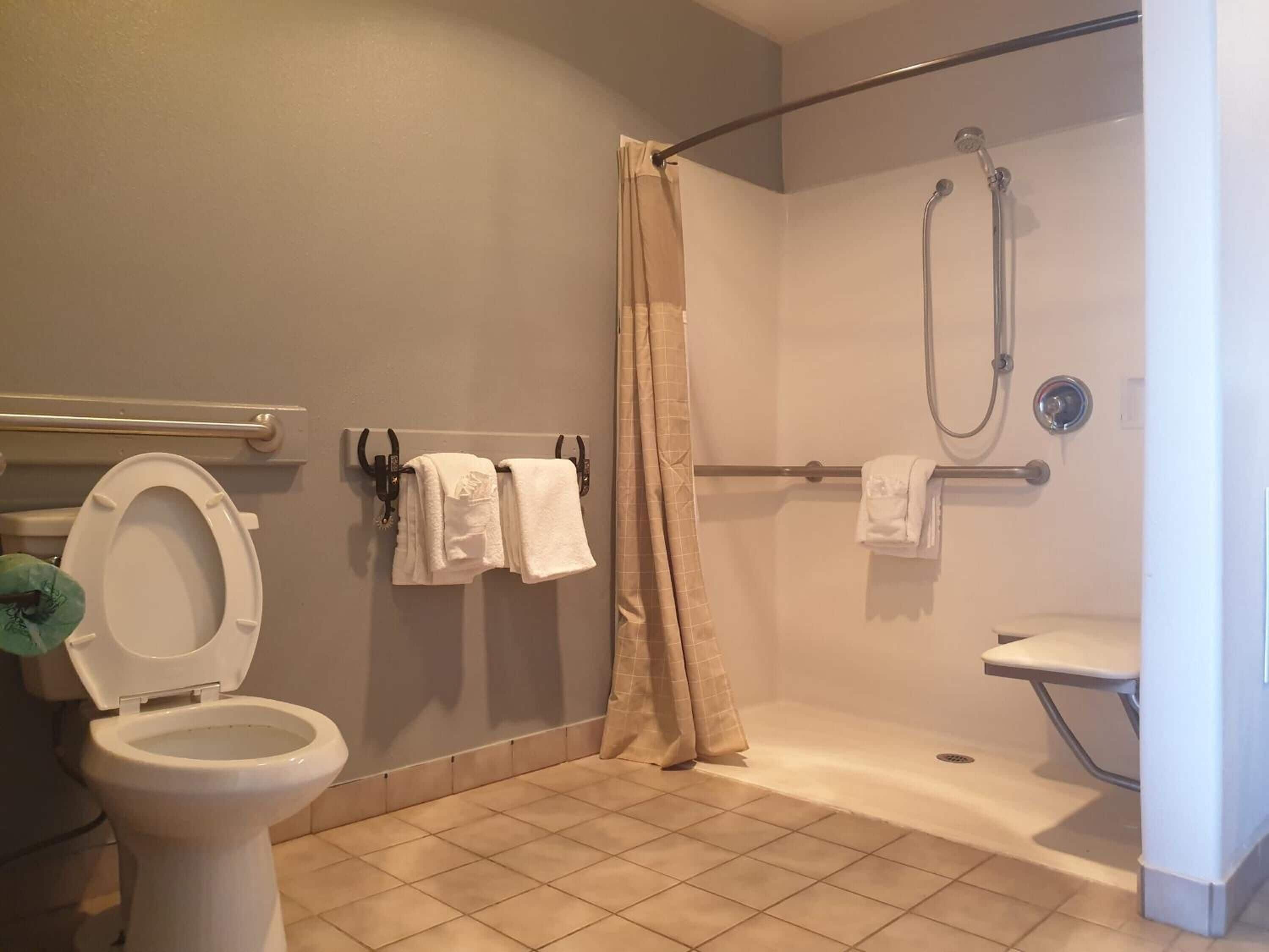 room, 1 king bed, non smoking | bathroom | shower, hair dryer, towels