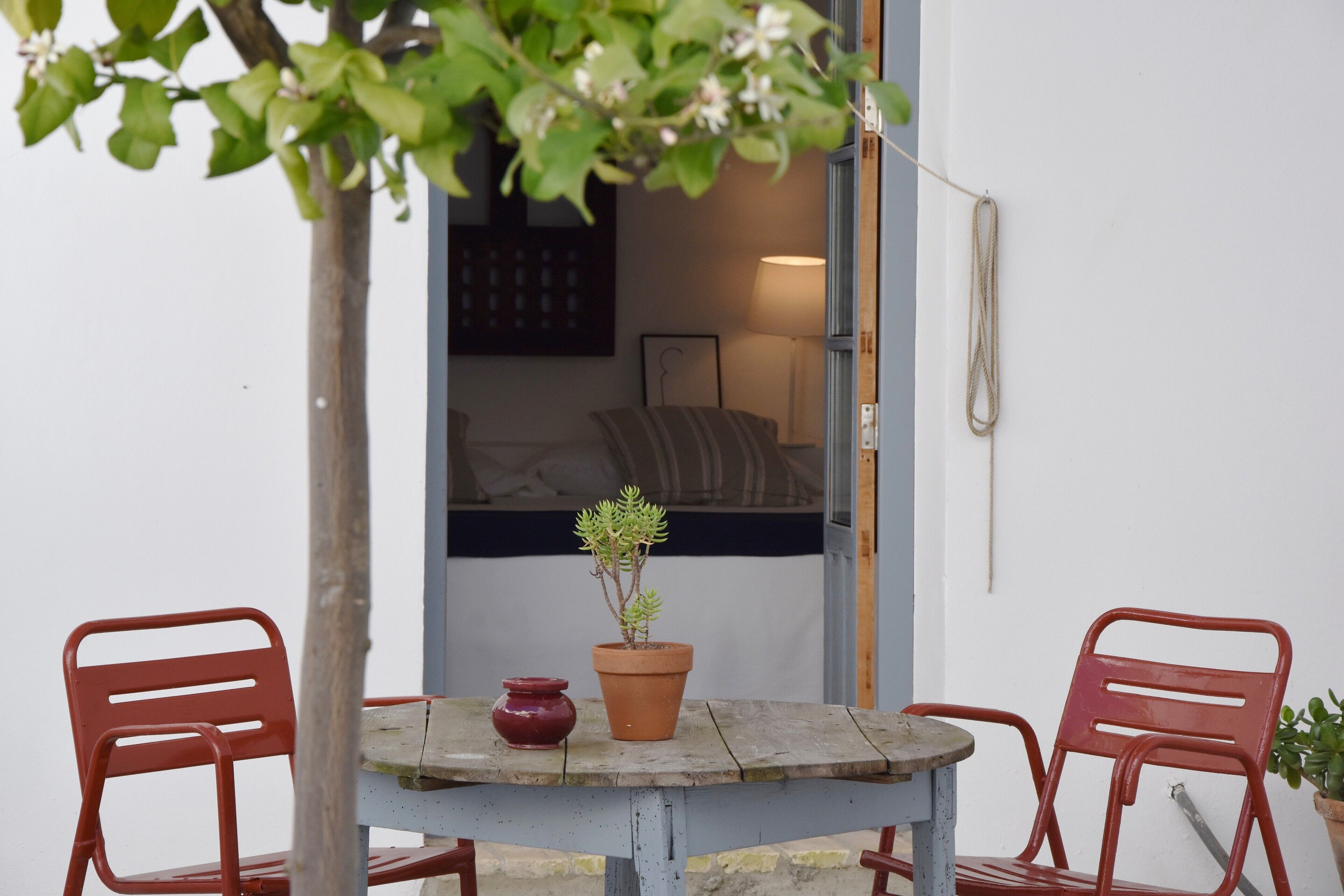 Værelse til 3 personer (con terraza) | Terrasse/gårdhave