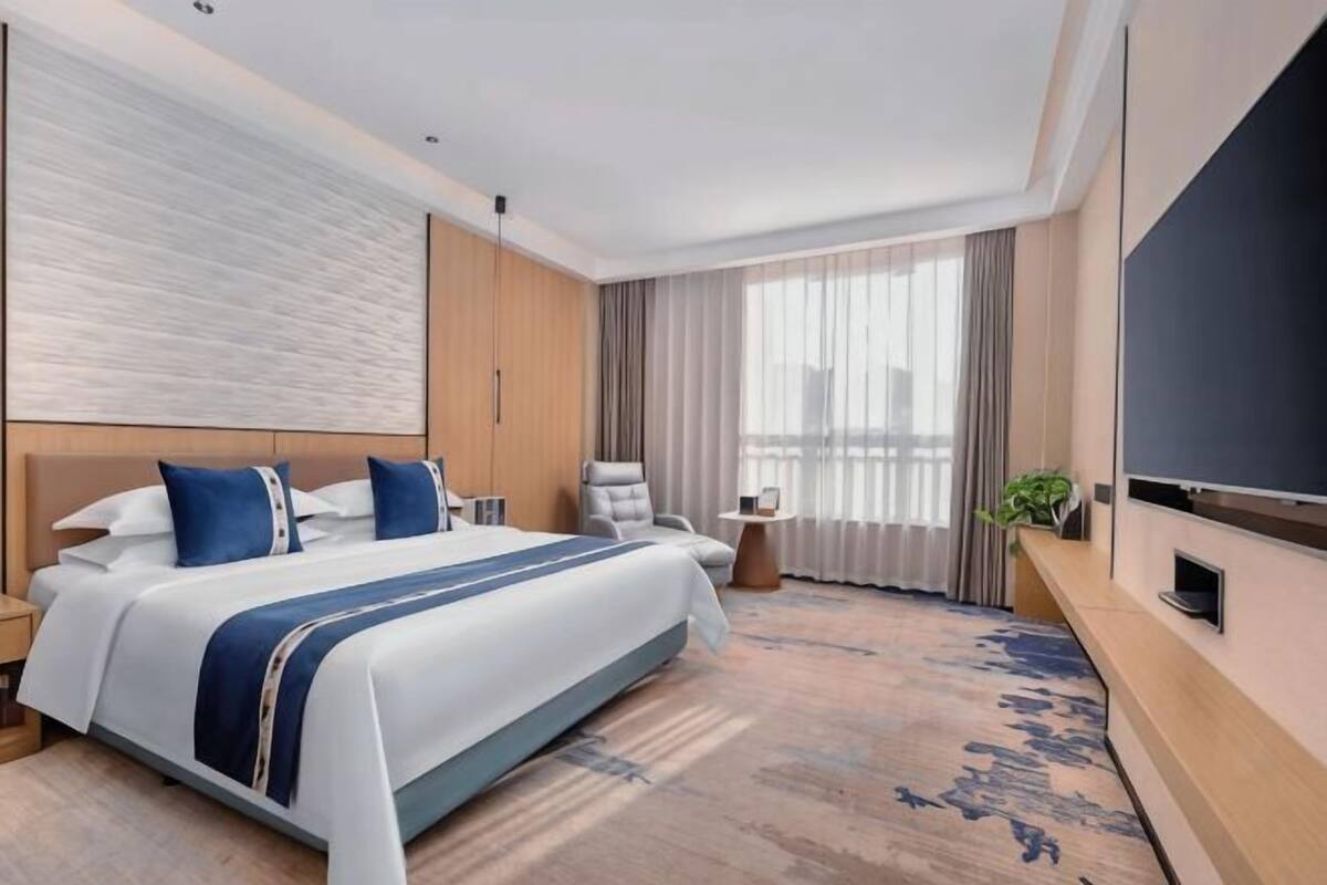 A hotel room with a large bed, a TV, a chair, and a plant.
