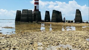 海灘