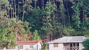A coastal building with a flat roof, surrounded by lush greenery and a rocky shoreline. - Navutovuto Accommodation (Kadavu Island)
