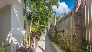 A narrow pathway flanked by lush greenery and a wooden fence, leading to a building entrance. - Candlelight - Airlie Beach (Airlie Beach)