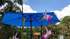 Uma área de piscina com guarda-sol azul, cadeiras de lounge brancas e flores cor-de-rosa.