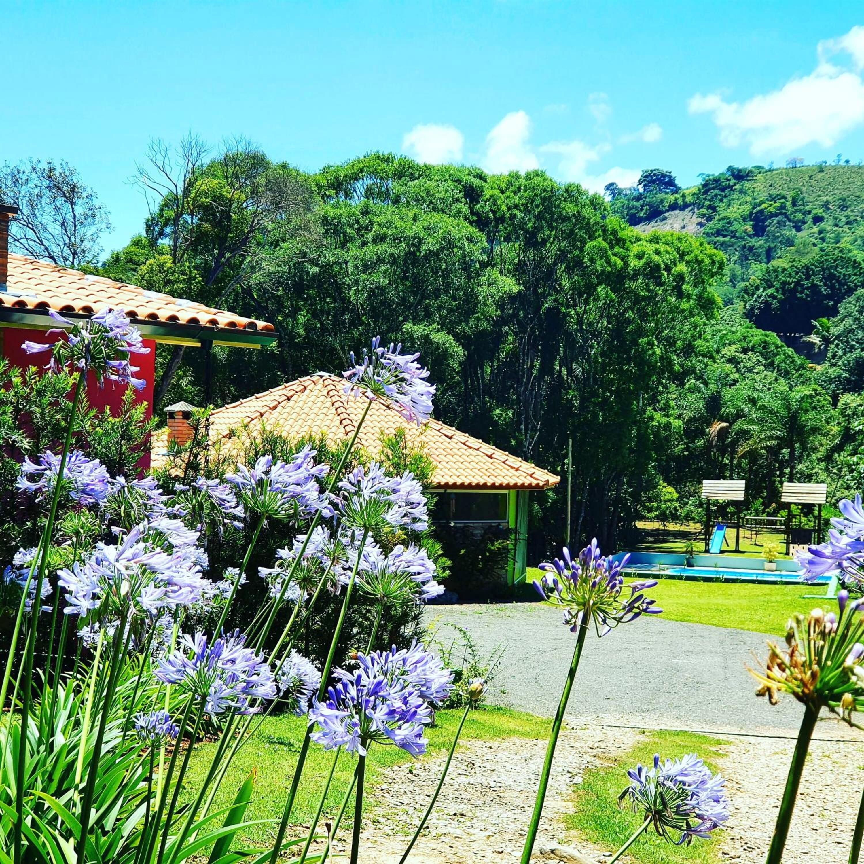 Khuôn viên nơi lưu trú