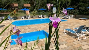 Área de piscina com espreguiçadeiras e guarda-sóis, cercada por vegetação e árvores.