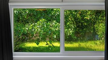 A window with a view of a lush green garden.