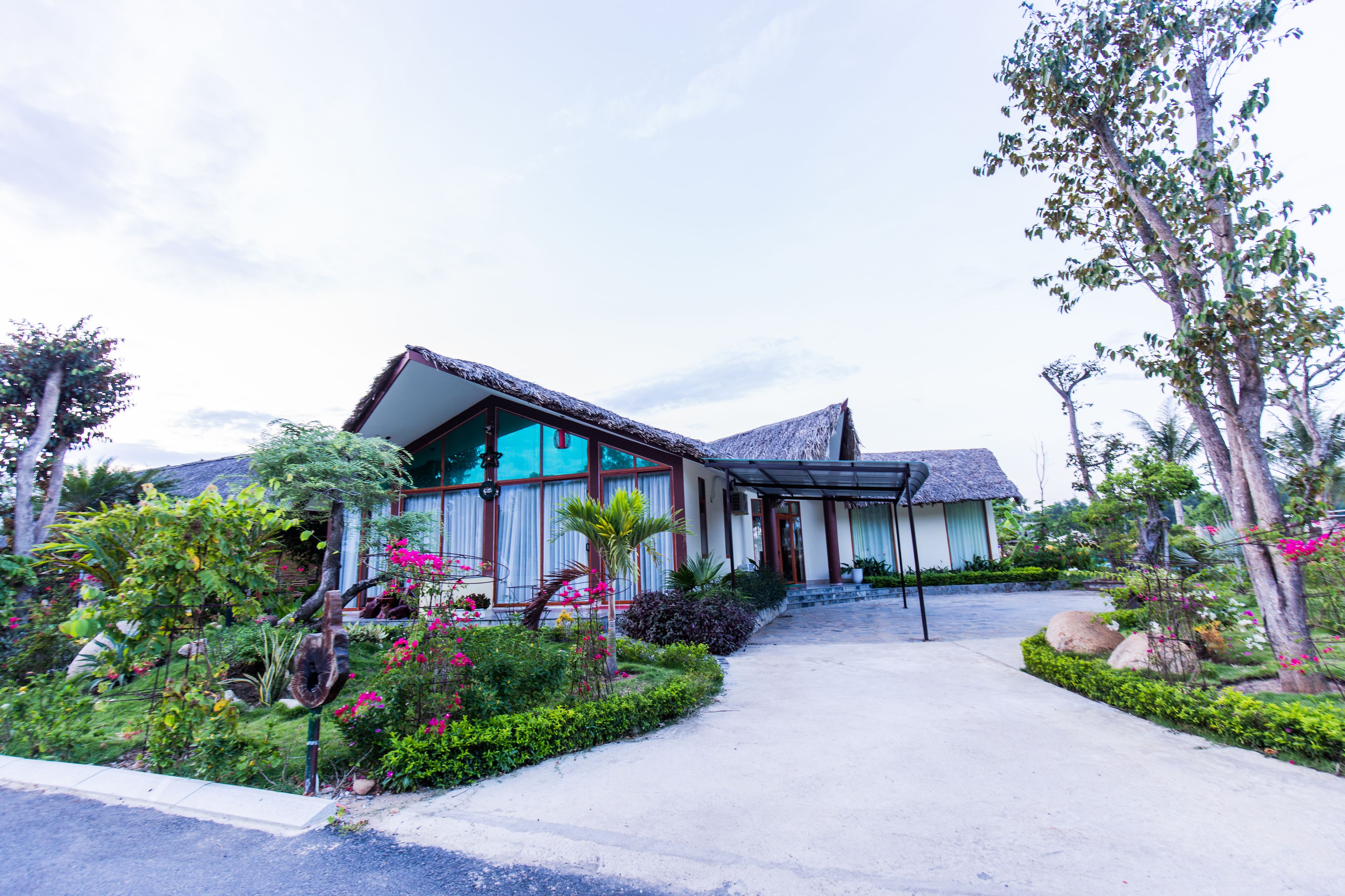 A modern house with a thatched roof, surrounded by lush gardens and a paved driveway.