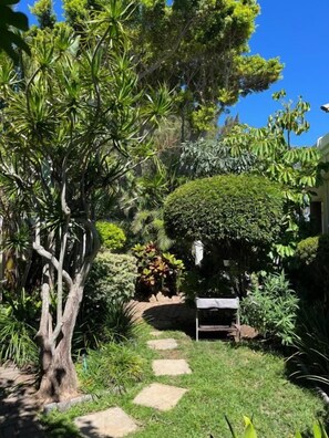 A garden with a variety of plants, a stone pathway, and a bench. - Margate Place Guesthouse (Gqeberha (Port Elizabeth))