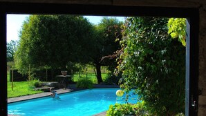 A view of a swimming pool surrounded by greenery and potted plants.