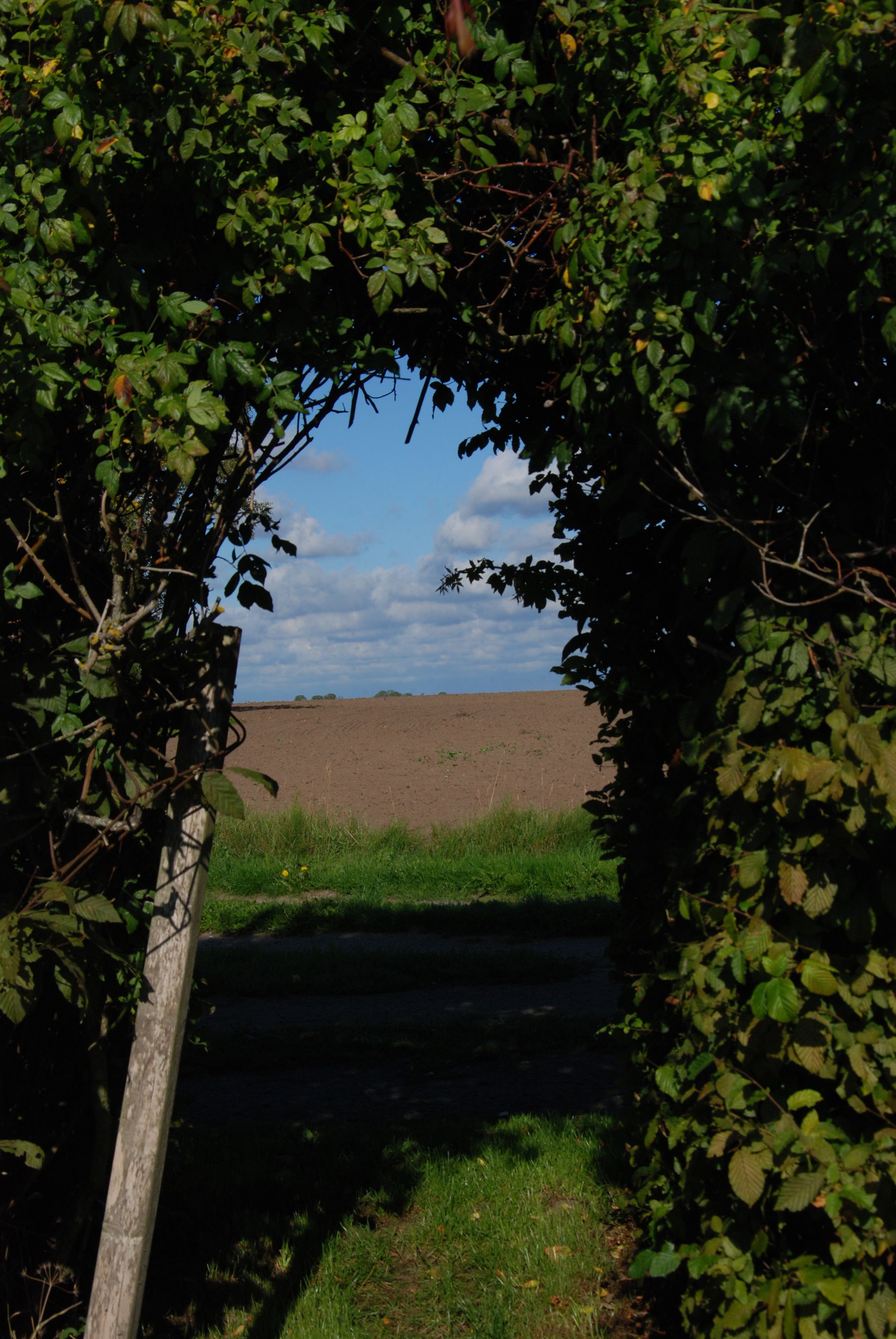 A rustic wooden archway leading to a field.
