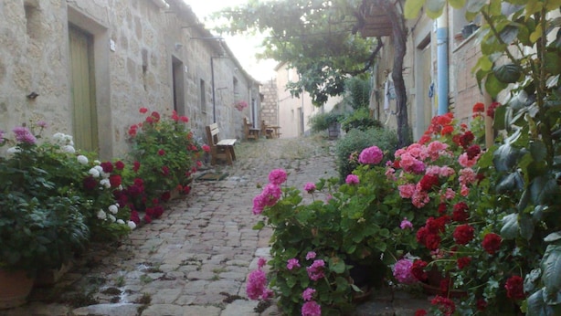 A narrow cobblestone alley flanked by old stone buildings with overgrown vegetation and flowering plants. - Locanda di Cadì (Petralia Soprana)