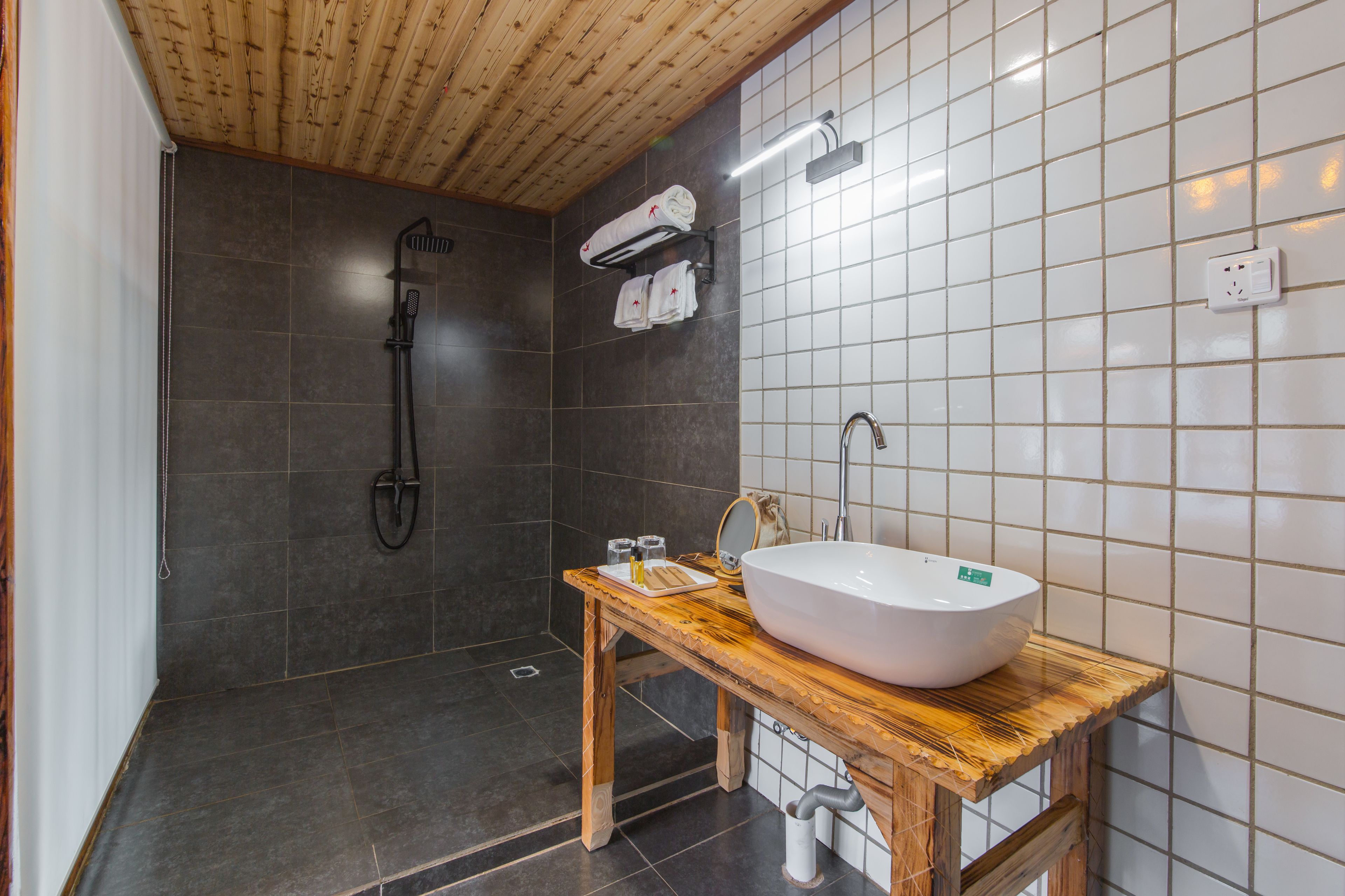 double room | bathroom shower
