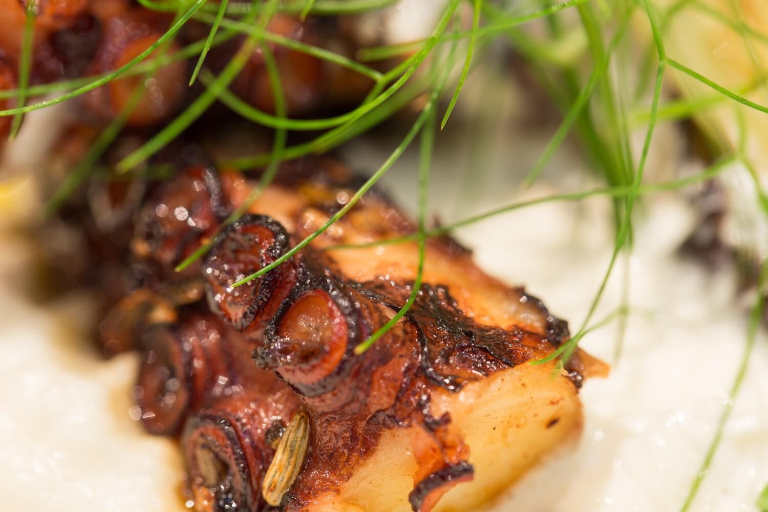 Foto - Rooms Villa Amfora Dubrovnik