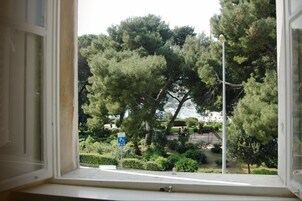 Vista dalla struttura