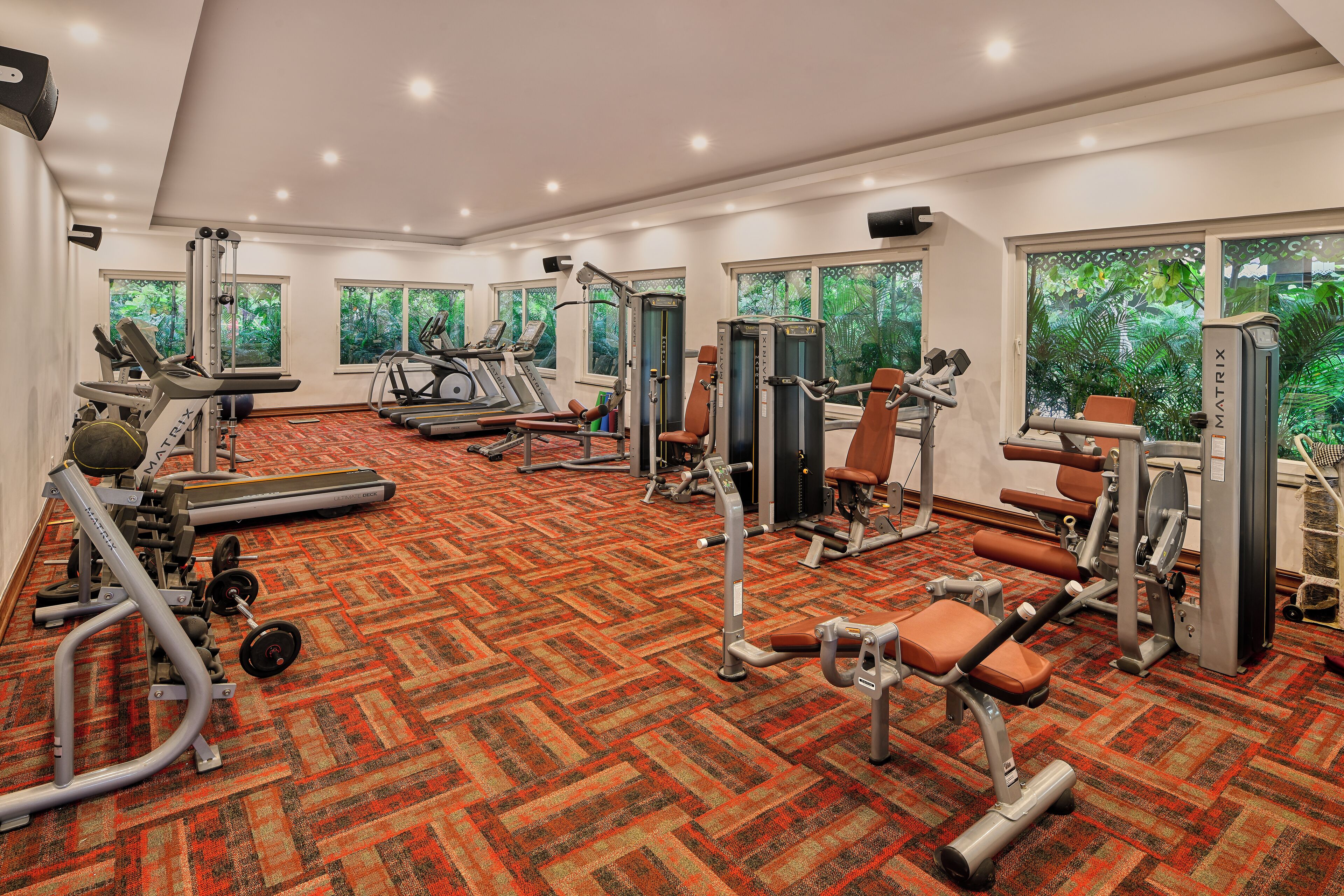 Un gimnasio con máquinas de cardio, estaciones de pesas y bancos.