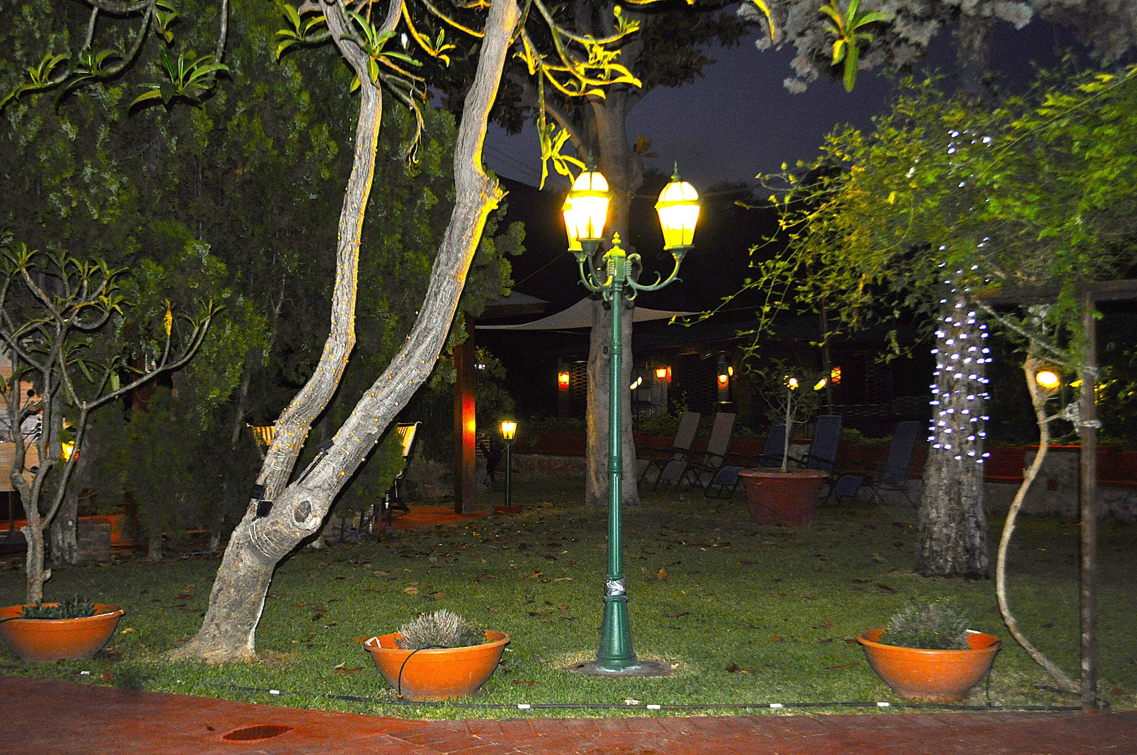 Area esterna illuminata di notte, con un lampione, piante in vaso e un albero.
