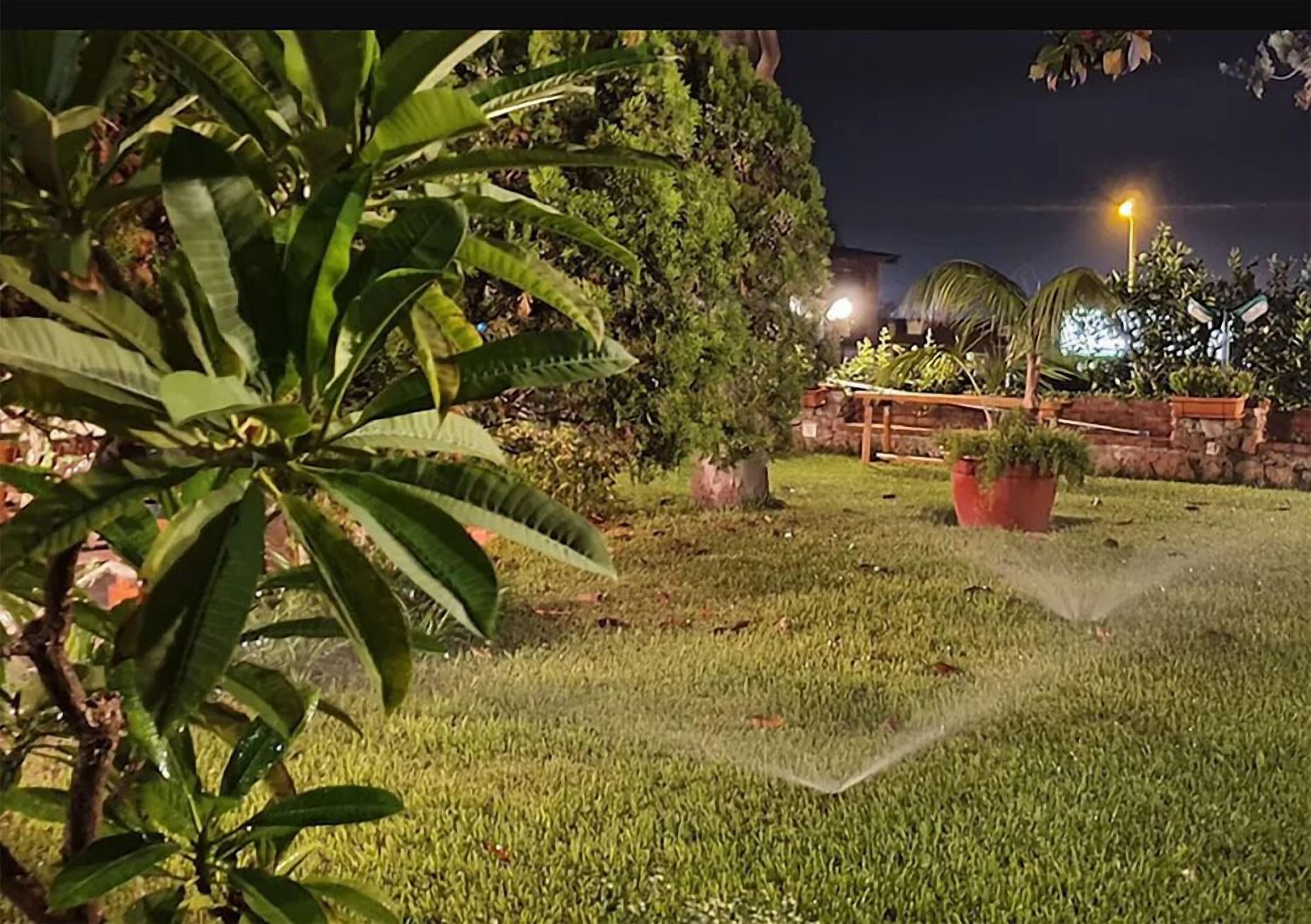 A well-maintained lawn with a sprinkler system, surrounded by various potted plants and a wooden fence.