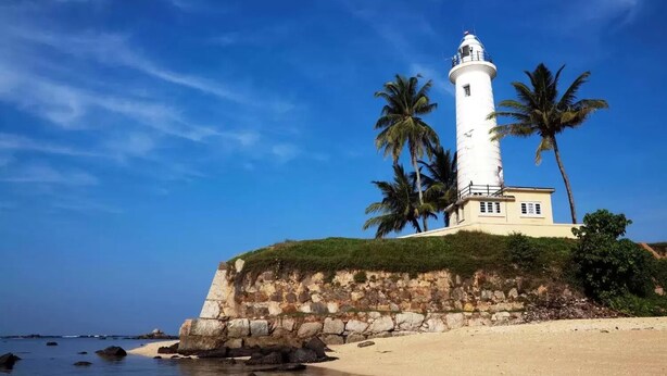 A lighthouse on a rocky outcrop with palm trees and a clear sky. - Lighthouse Guest (Galle)