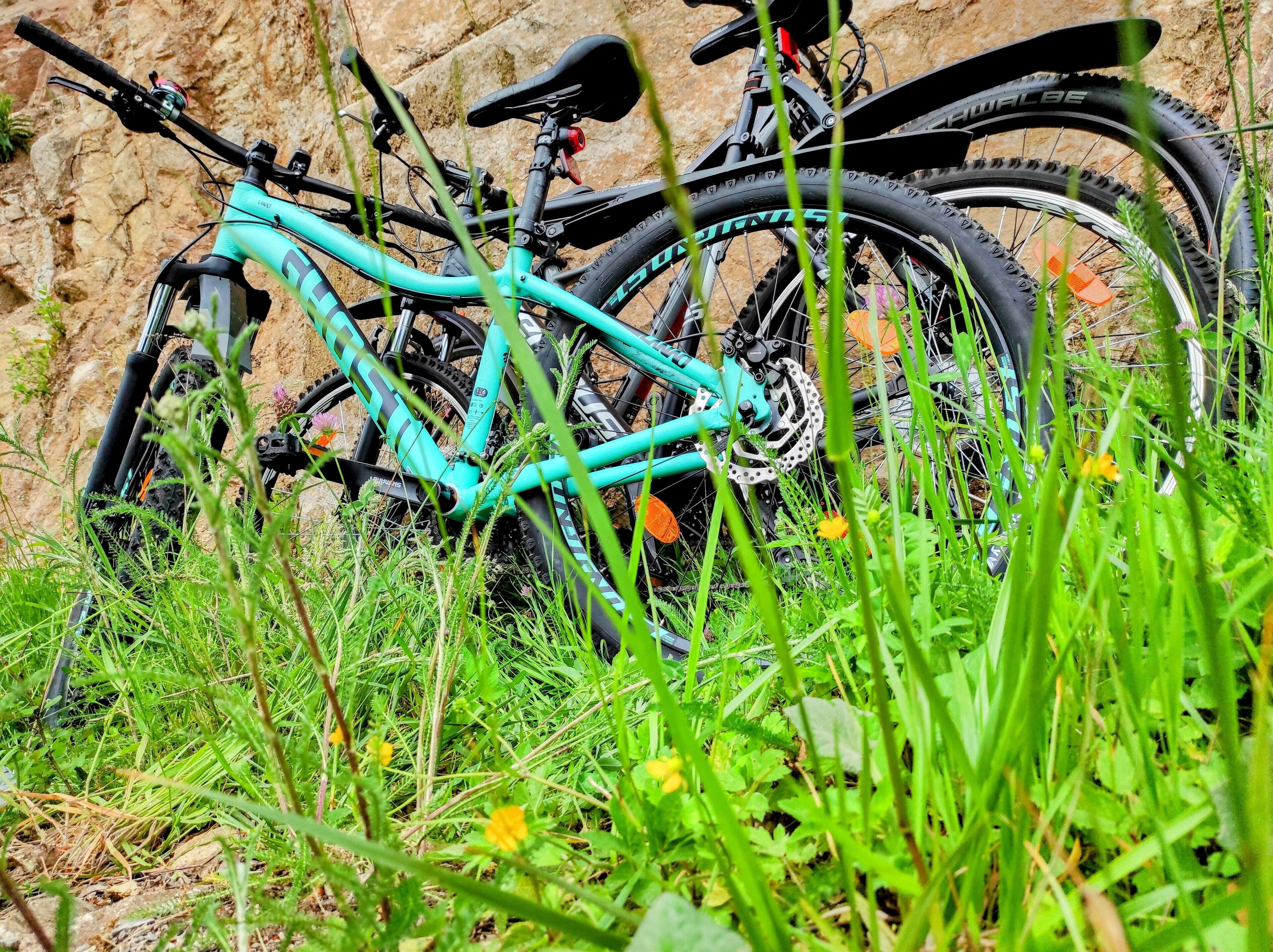 A turquoise mountain bike leaning against a rocky wall, surrounded by green grass and wildflowers.