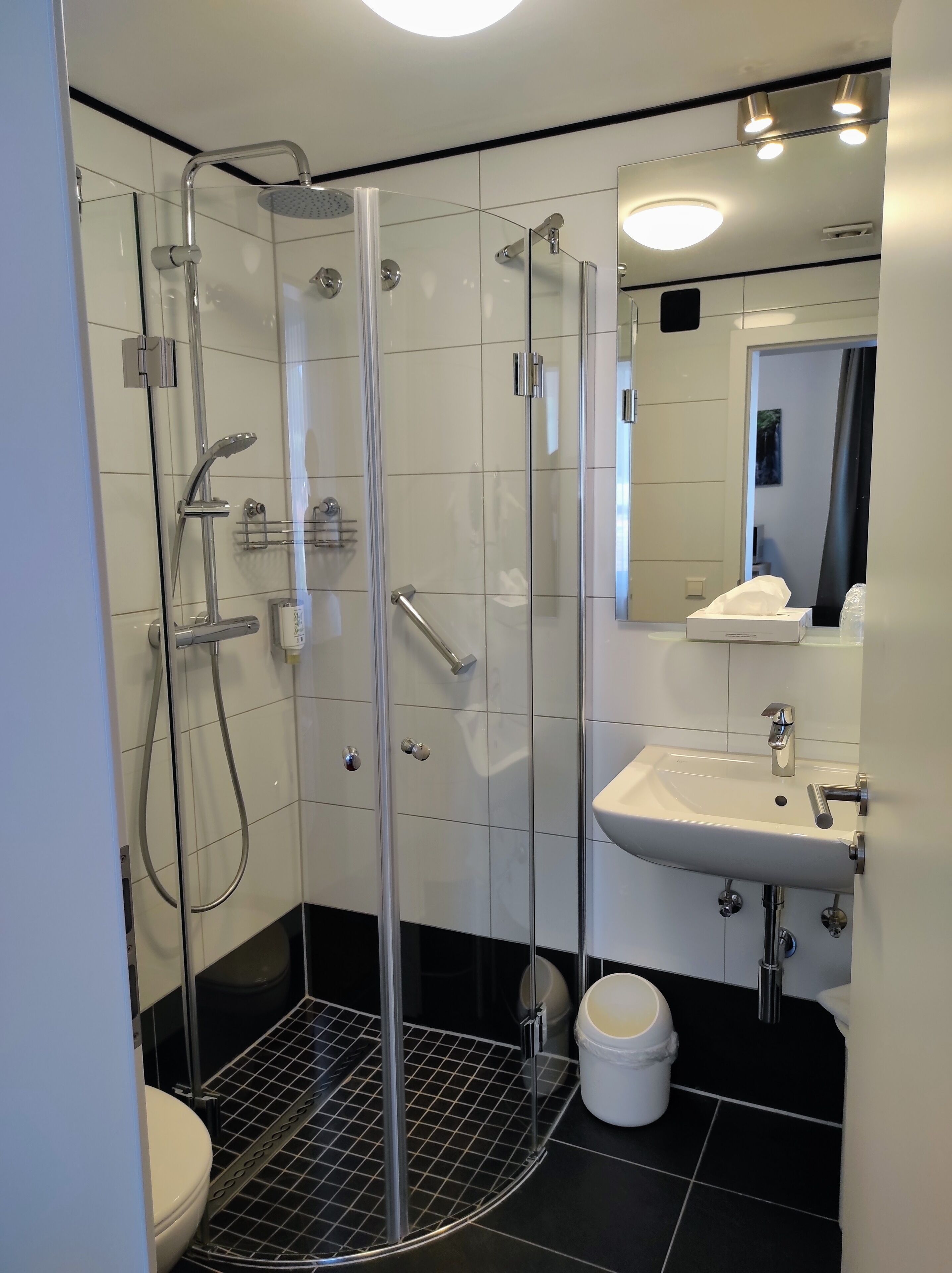 A modern bathroom with a glass-enclosed shower, a white sink, and a toilet.
