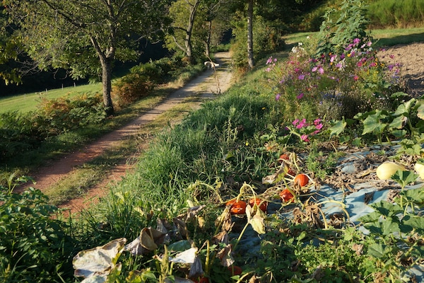 Outdoor rock climbing