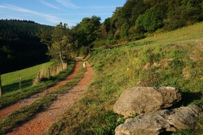 Vue sur la campagne depuis lâhĂ©bergement