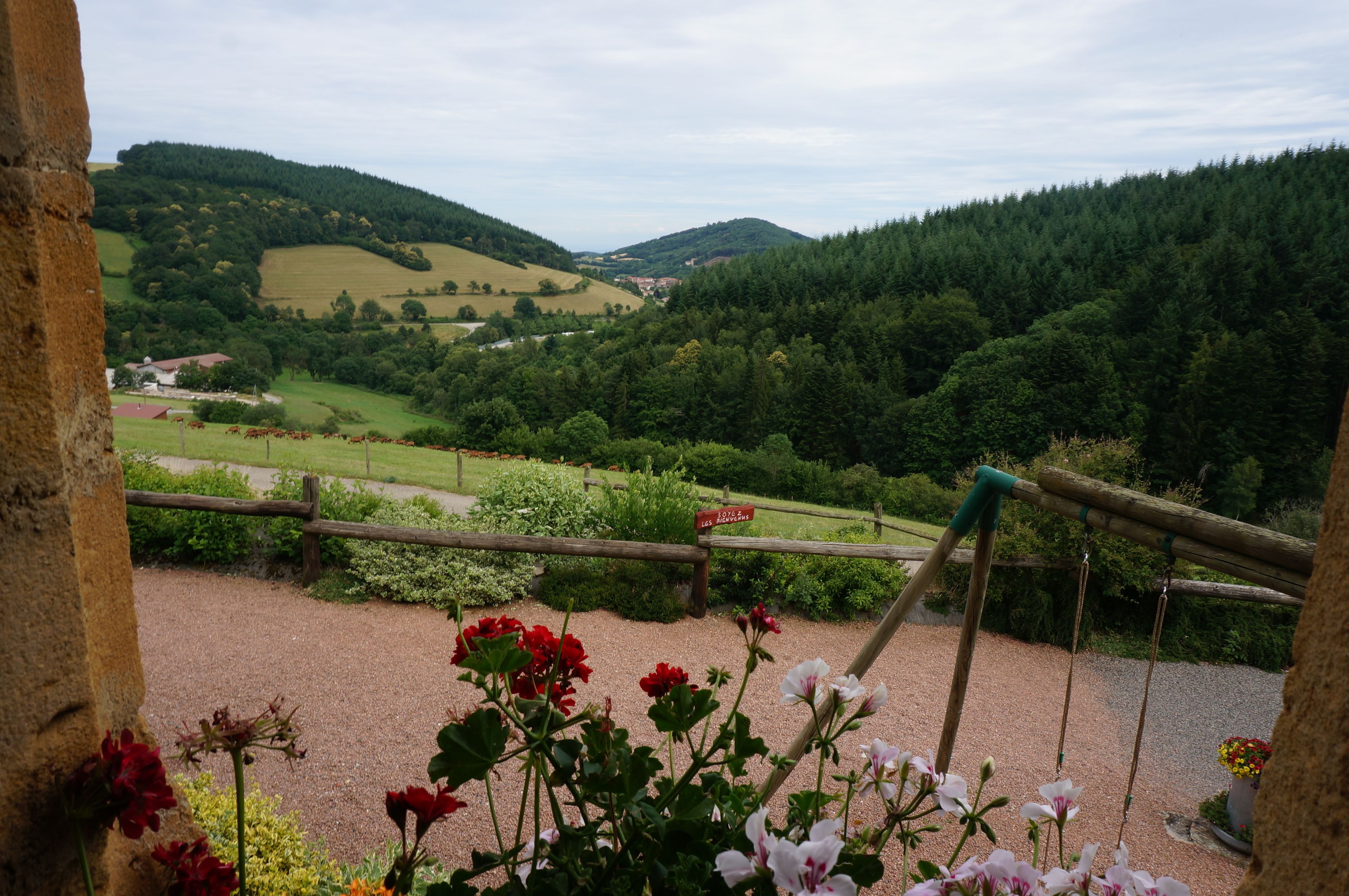 Quang cảnh từ phòng