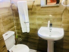 Un bagno con un WC, un lavabo e una cabina doccia in vetro.