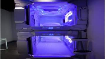Dormitorio compartido estándar, sin ventanas | Wifi gratis y ropa de cama