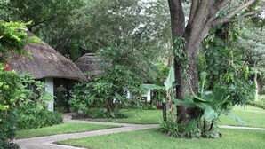 A thatched-roof hut surrounded by lush greenery and a paved pathway. - Caprivi River Lodge (Katima Mulilo)