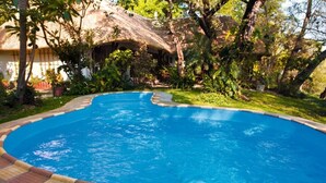 A swimming pool surrounded by lush greenery and a thatched-roof structure. - Caprivi River Lodge (Katima Mulilo)