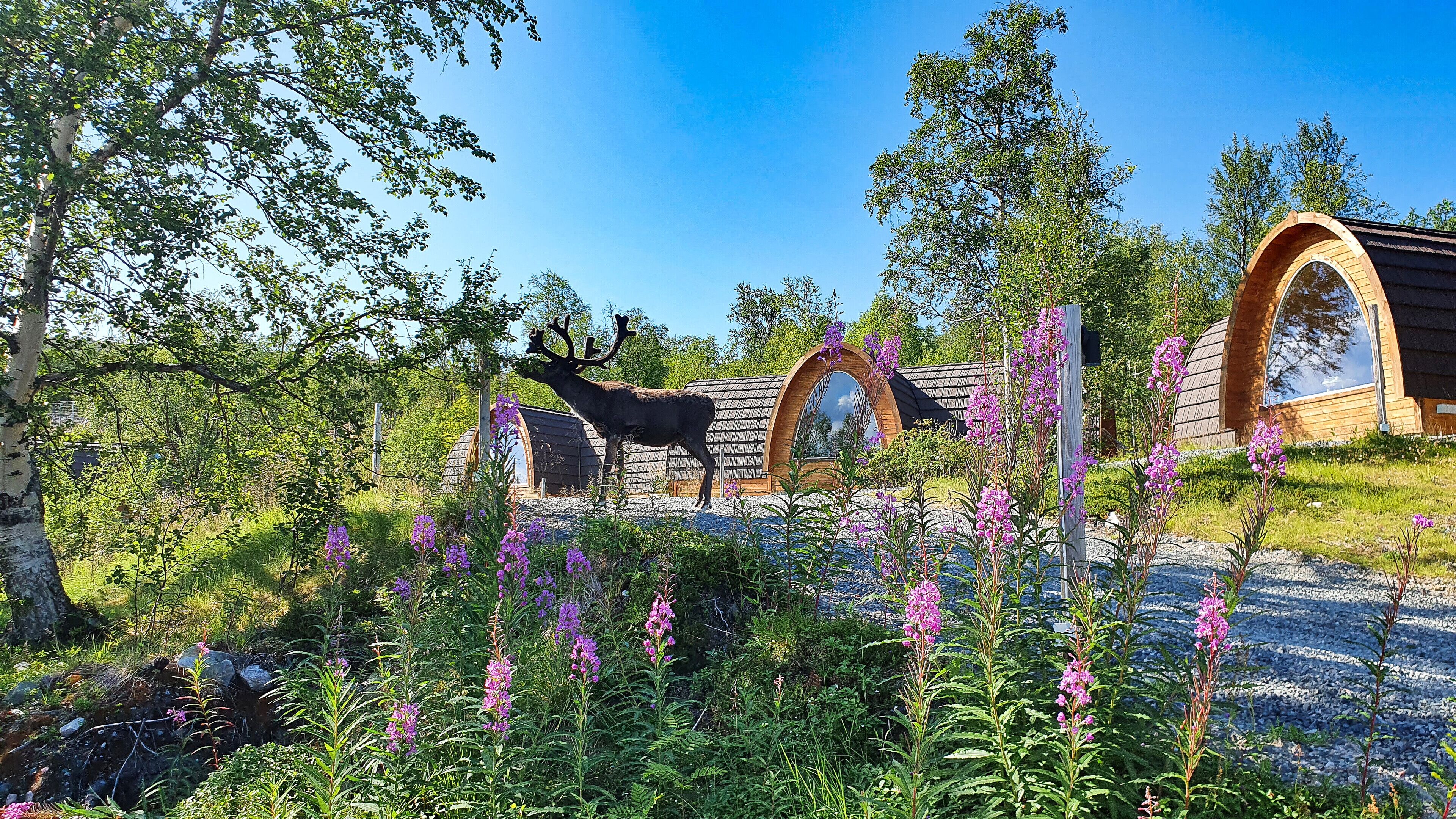 superior cabin | 1 bedroom, individually decorated, free wifi, bed sheets