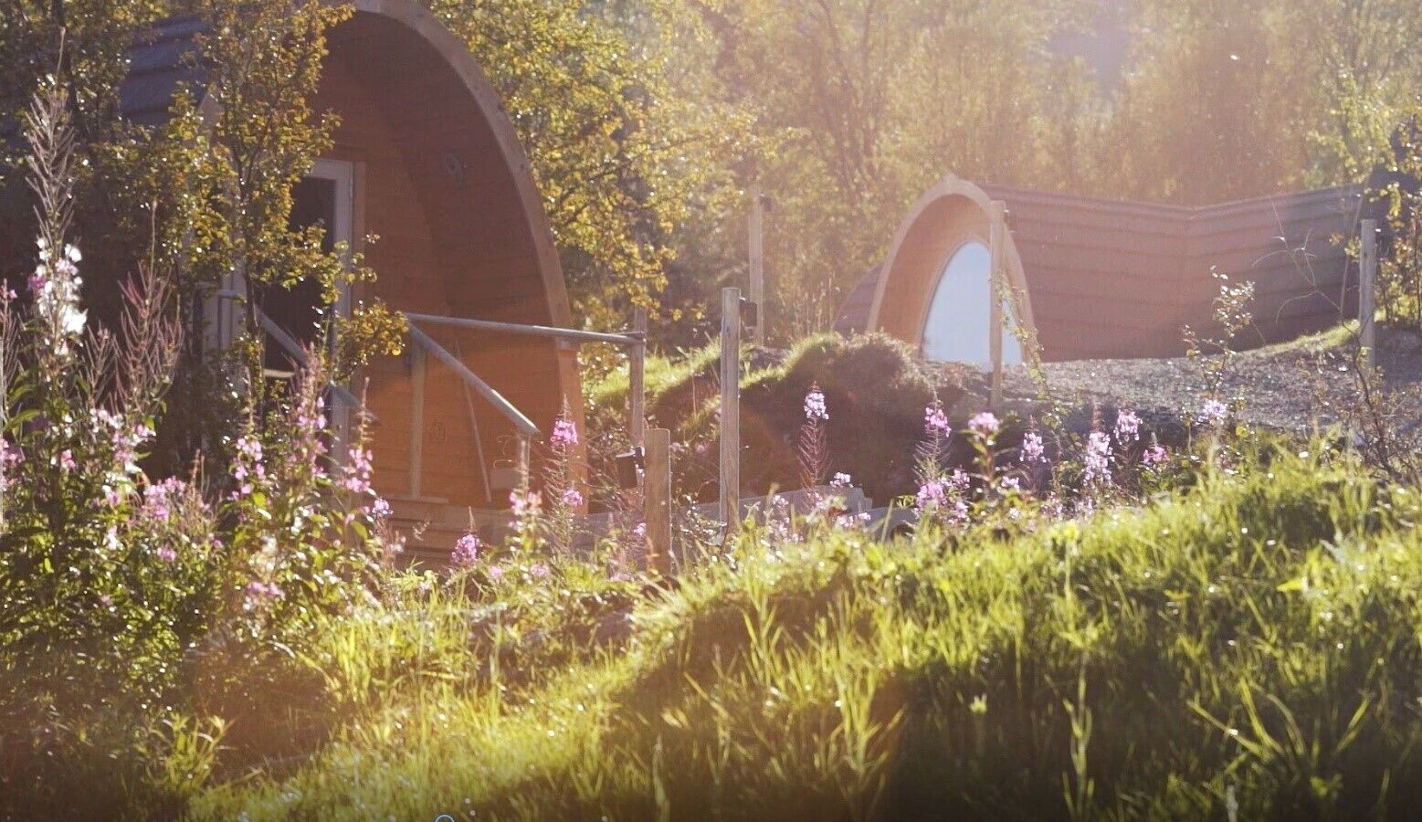 Cabin Superior | Trang trí khác biệt, truy cập Internet không dây miễn phí 