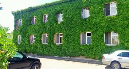 Hotel Lilo near Airport