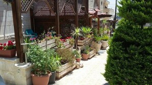 A covered outdoor area with potted plants and a small tree. - Amaled Hotel (Amman)