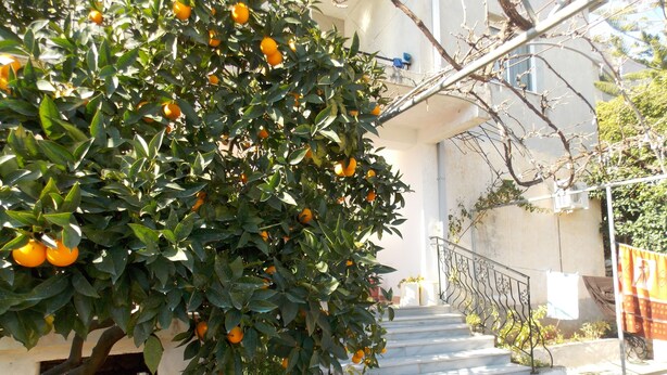 Exterior - Ylli Apartments Saranda (Sarandë)