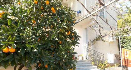 Ylli Apartments Saranda