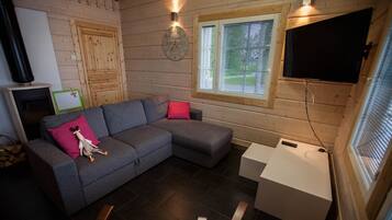 Sauna Villa with 2 bedrooms and private beach | Living area | 32-inch flat-screen TV with satellite channels, TV, fireplace