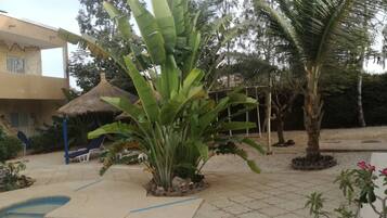 Outdoor pool, open 9:00 AM to 6:00 PM, pool umbrellas, pool loungers