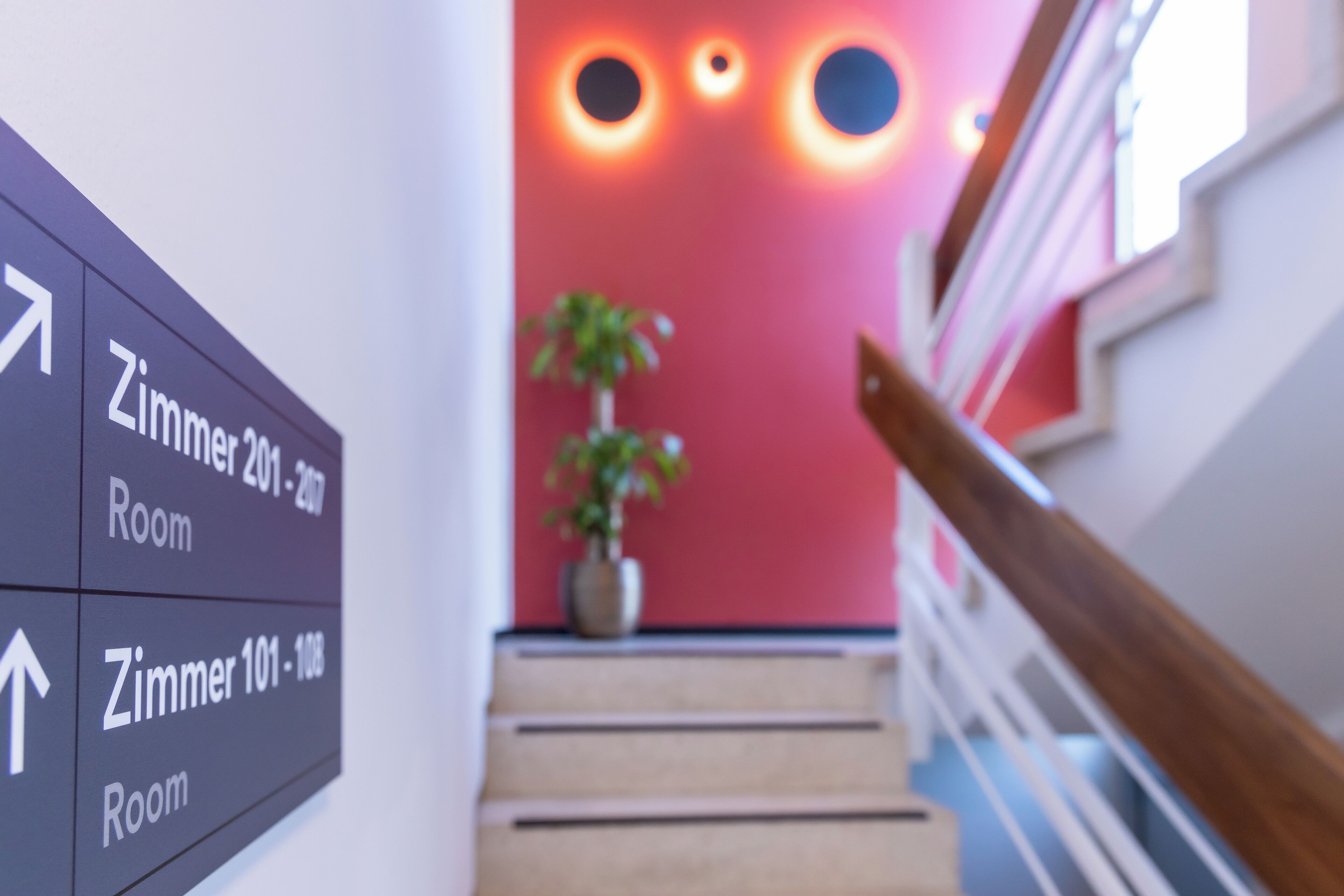 A staircase with a handrail and a potted plant at the top. Directional signs indicate rooms 201-207 and 101-108.