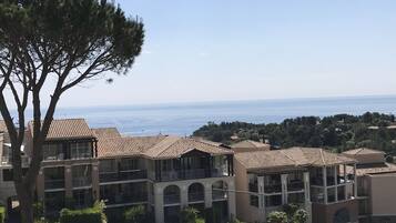 Basic Apartment (284la) | View from room