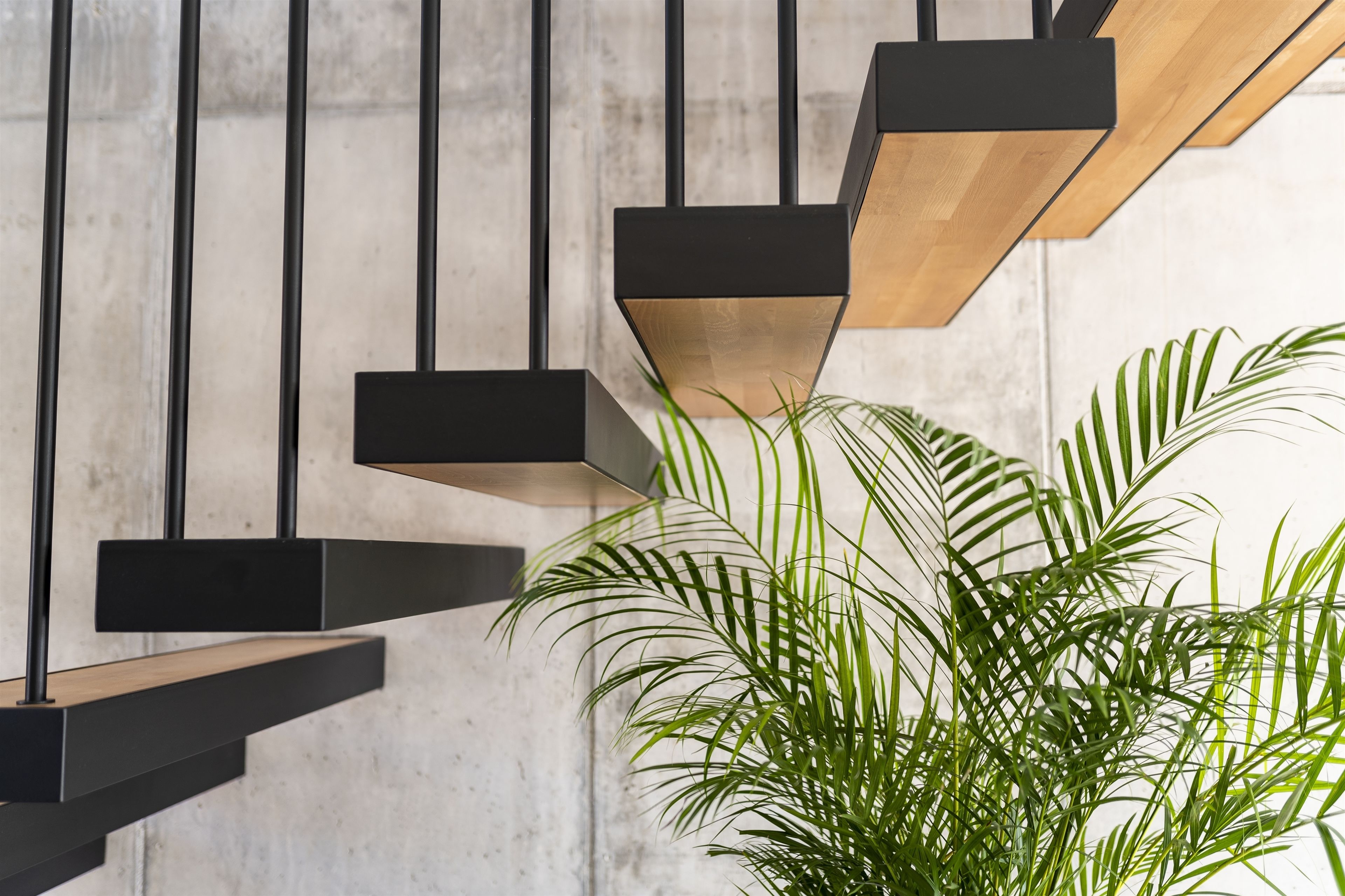 A modern staircase with black and wooden steps against a concrete wall, accompanied by a potted plant.