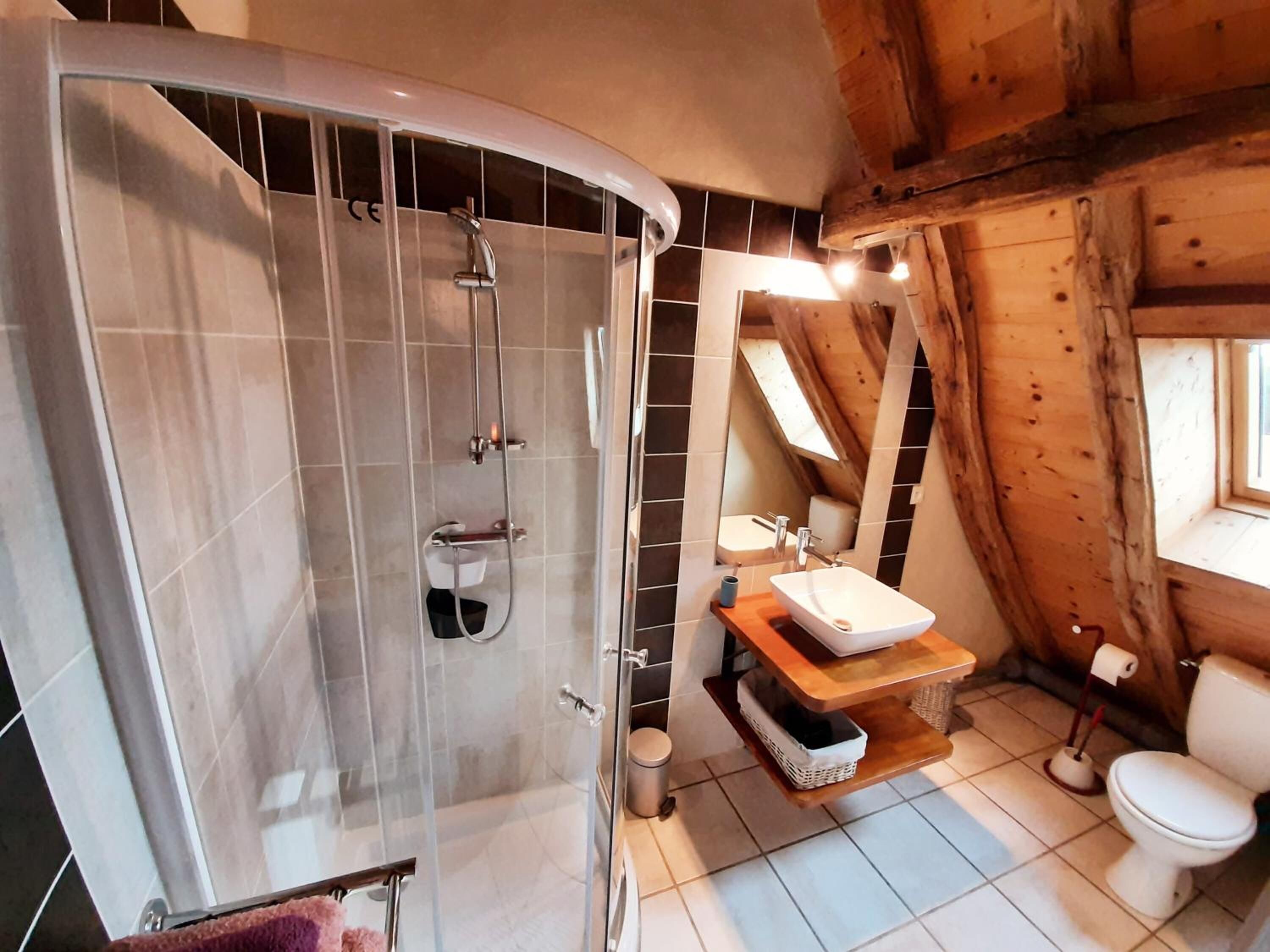 Een badkamer met een douchecabine van glas, een houten wastafelmeubel met een wastafel en een toilet.