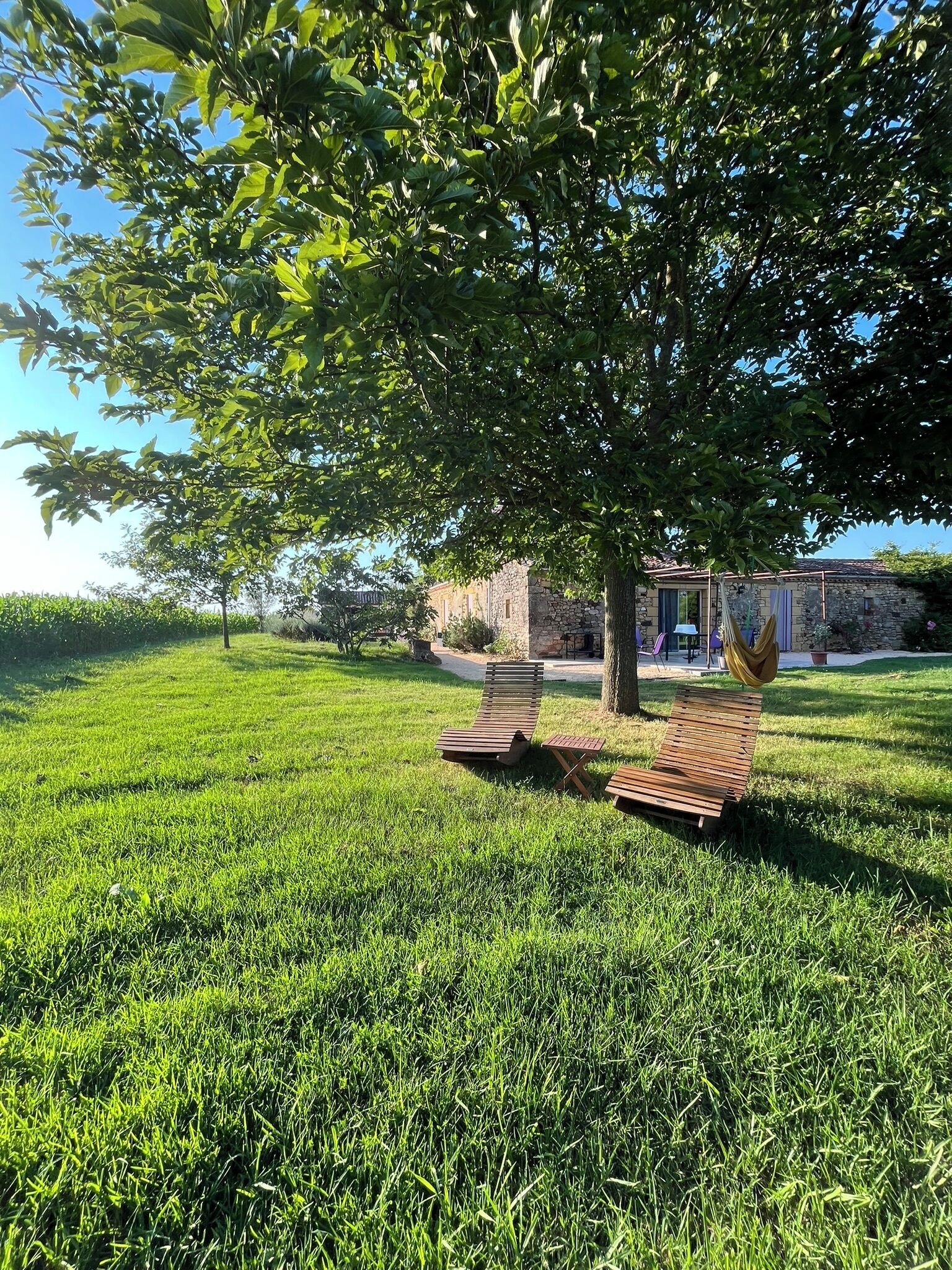 Een gazon met daaraan twee houten lounge stoelen onder een boom, met een stenen gebouw op de achtergrond en een helderblauwe lucht.