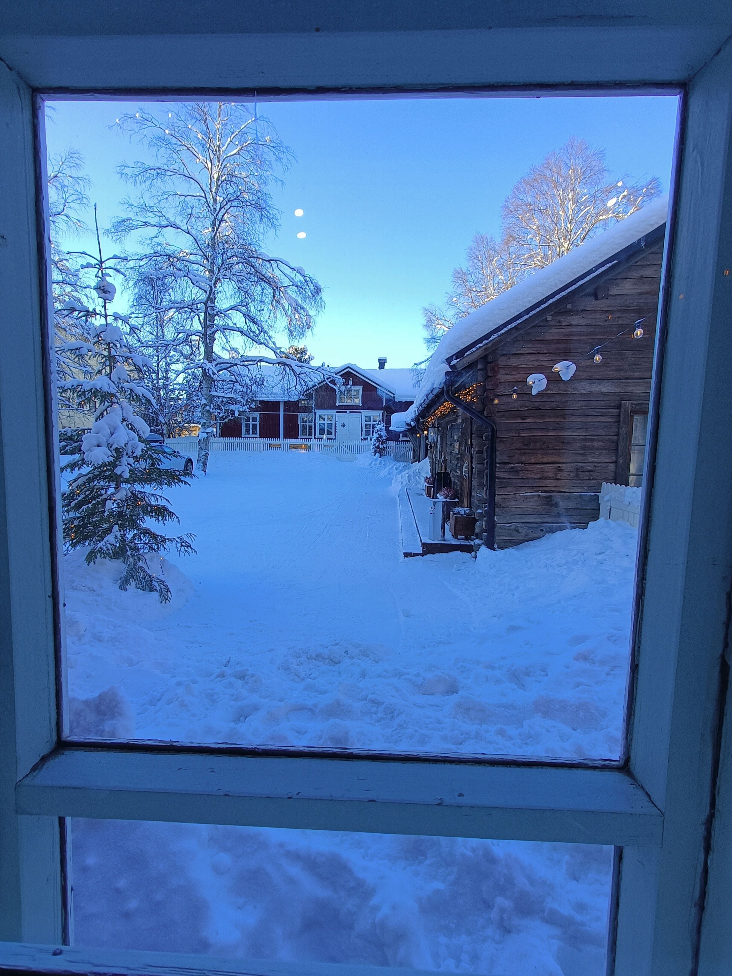 Vue sur la cour