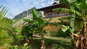 A house with a balcony, surrounded by banana trees and a mountain in the background. - Kaye Coco (Choiseul)